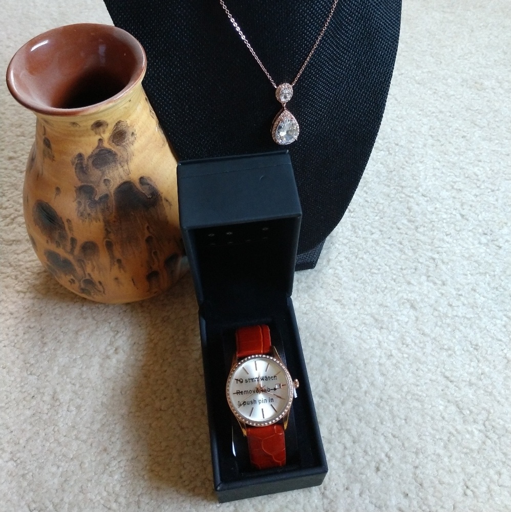 Akribos XXIV watch